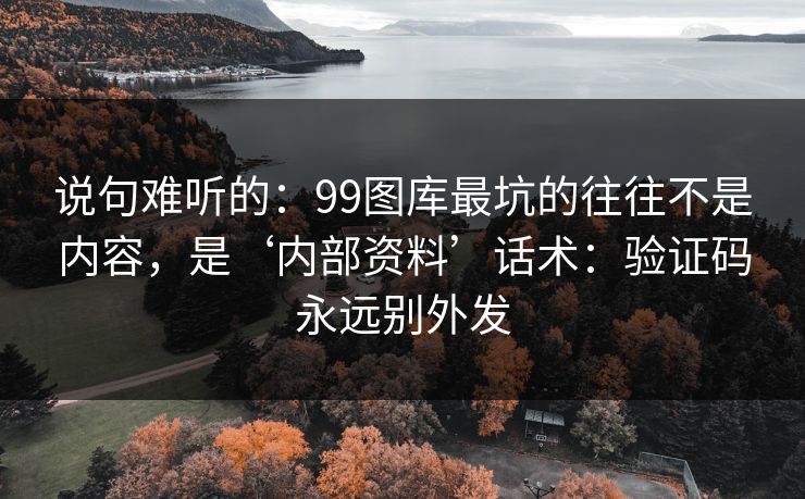说句难听的：99图库最坑的往往不是内容，是‘内部资料’话术：验证码永远别外发