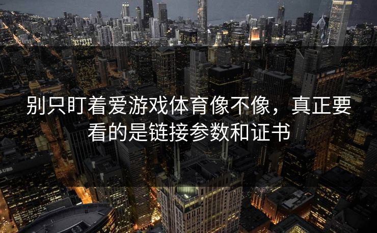 别只盯着爱游戏体育像不像，真正要看的是链接参数和证书